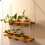 2 Tier Hanging Window Pot Shelf