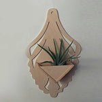 Air Plants Holders